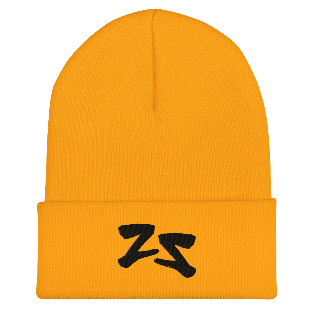 Protect Your Energy Cuffed Beanie 002