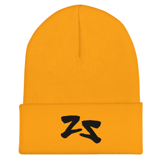 Protect Your Energy Cuffed Beanie 002