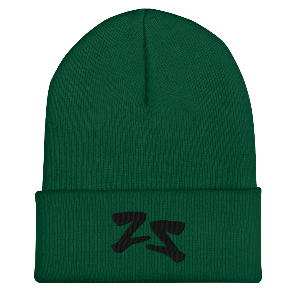 Protect Your Energy Cuffed Beanie 002